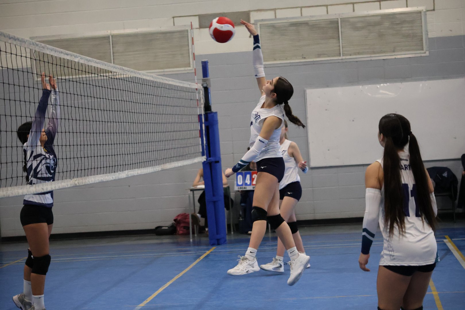 Tournoi Panthères 21 février 2026 - U13 D1