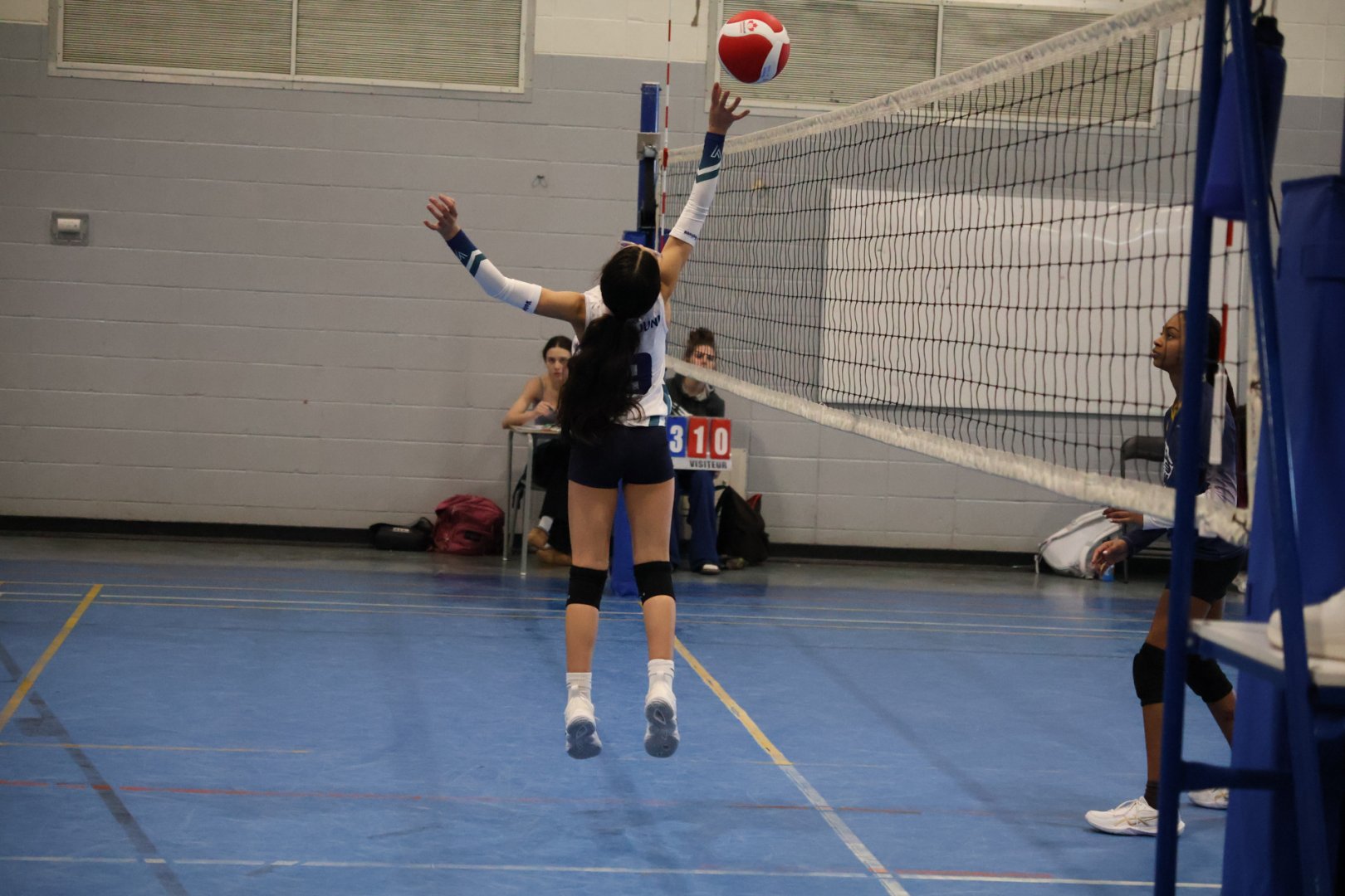Tournoi Panthères 21 février 2026 - U13 D1