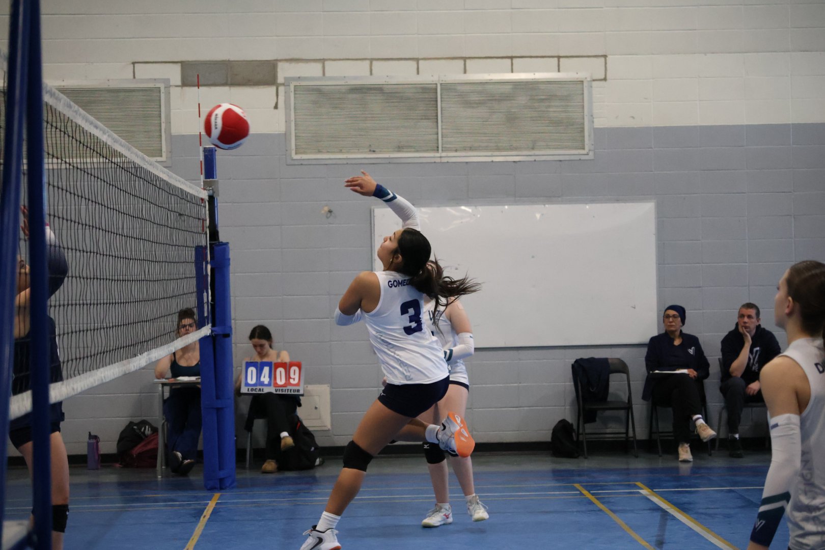 Tournoi Panthères 21 février 2026 - U13 D1