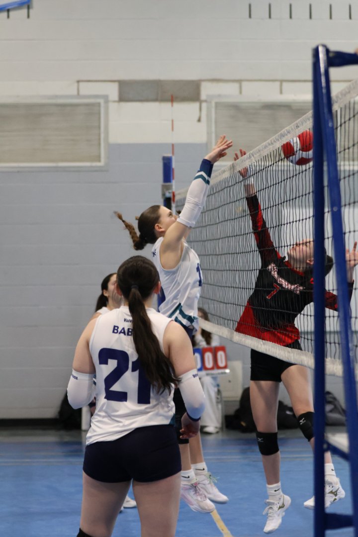 Tournoi Panthères 21 février 2026 - U13 D1