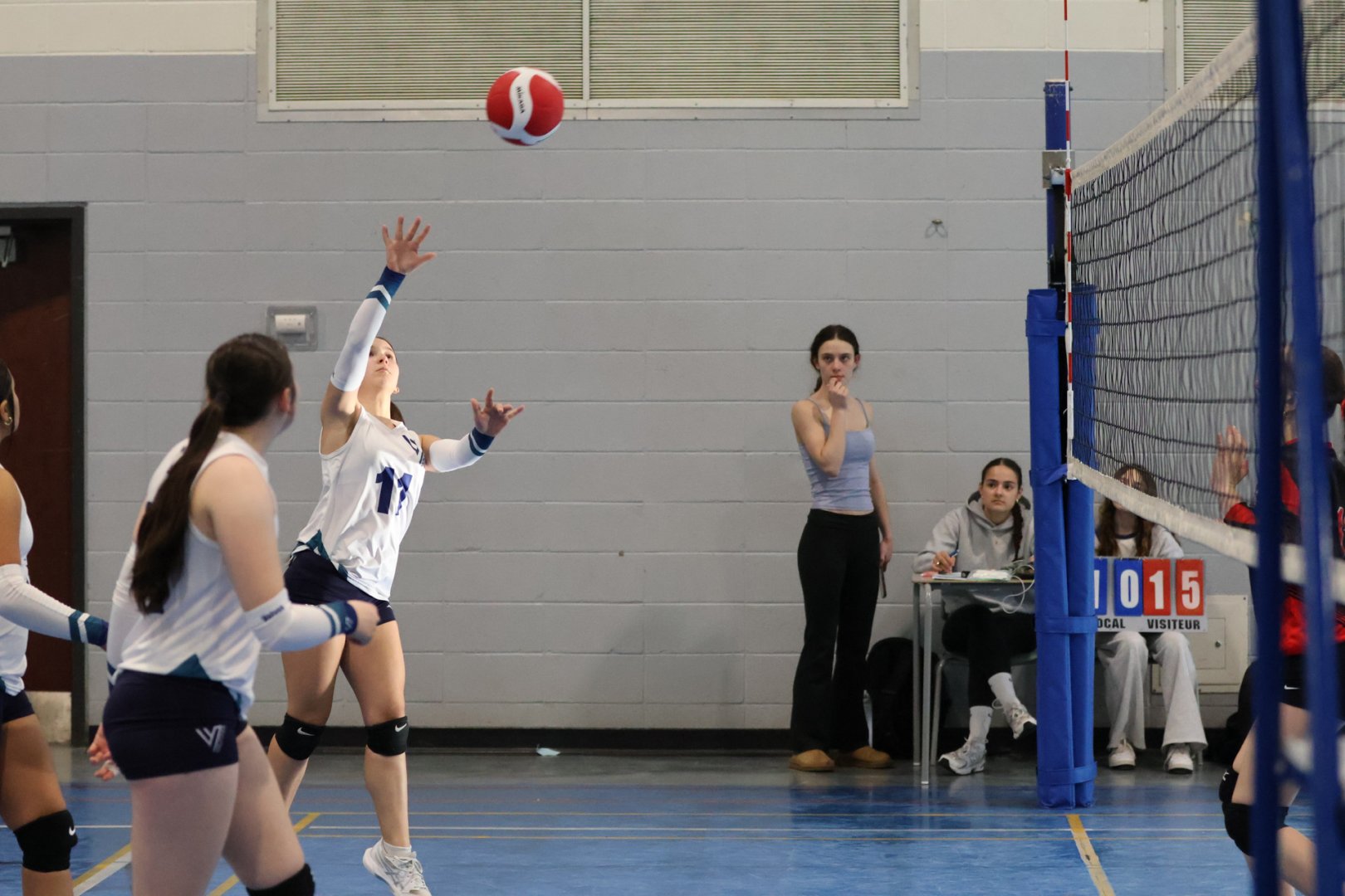 Tournoi Panthères 21 février 2026 - U13 D1