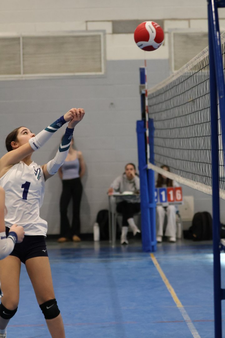 Tournoi Panthères 21 février 2026 - U13 D1