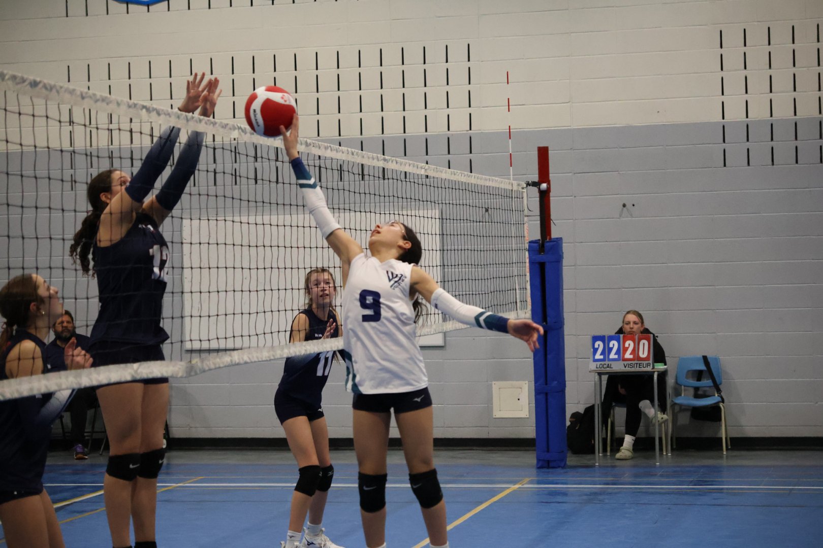 Tournoi Panthères 21 février 2026 - U13 D1