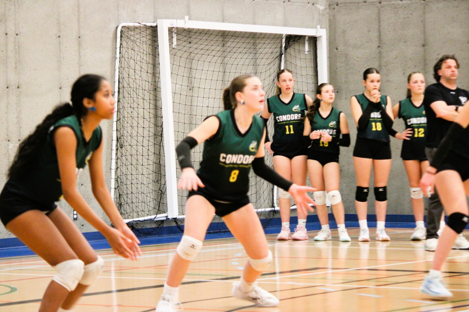 Volitives (hôte) Tournoi VBQ #3 U14 Circuit Excellence Repentigny - 21 février 2026
