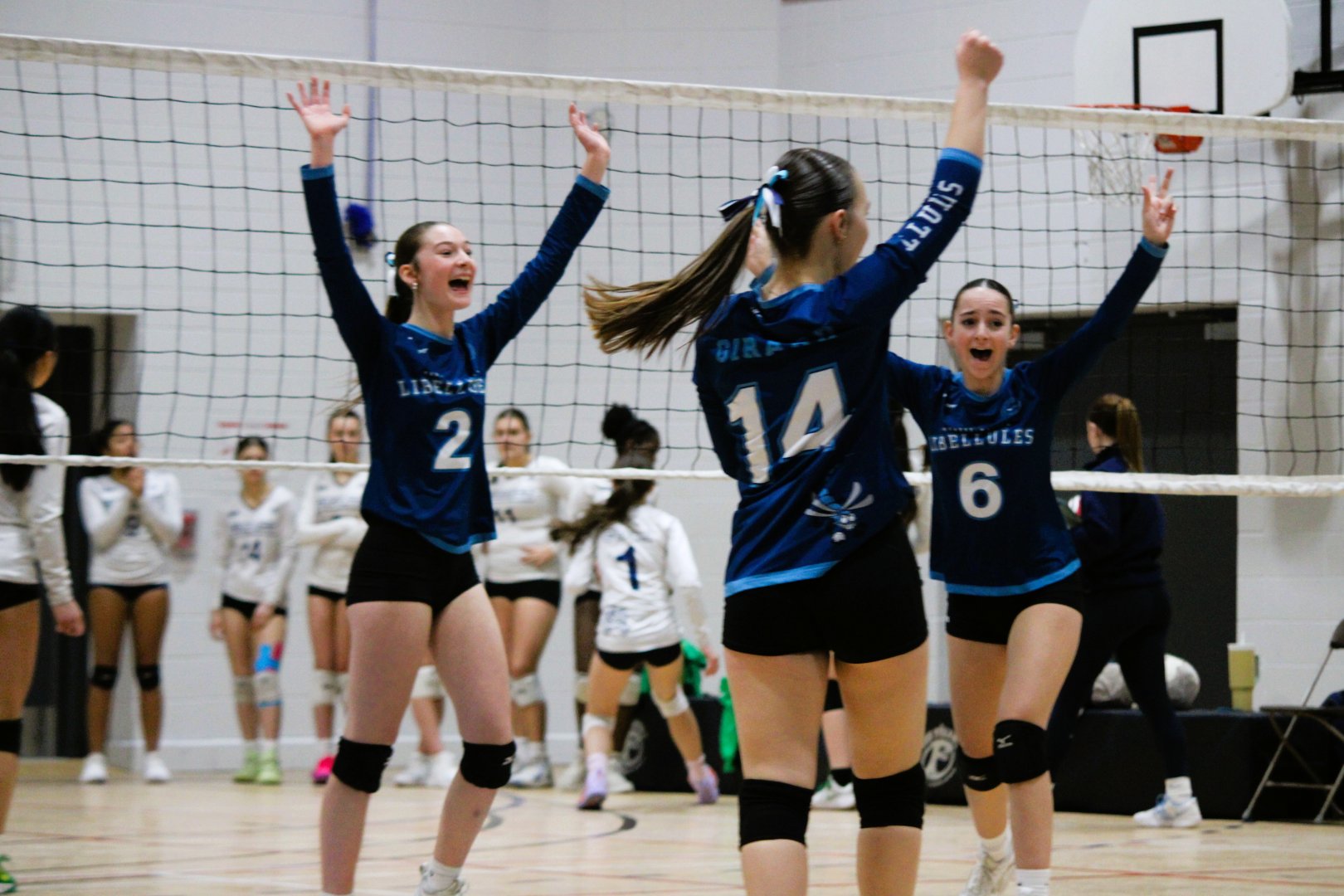 Volitives (hôte) Tournoi VBQ #3 U14 Circuit Excellence Repentigny - 21 février 2026
