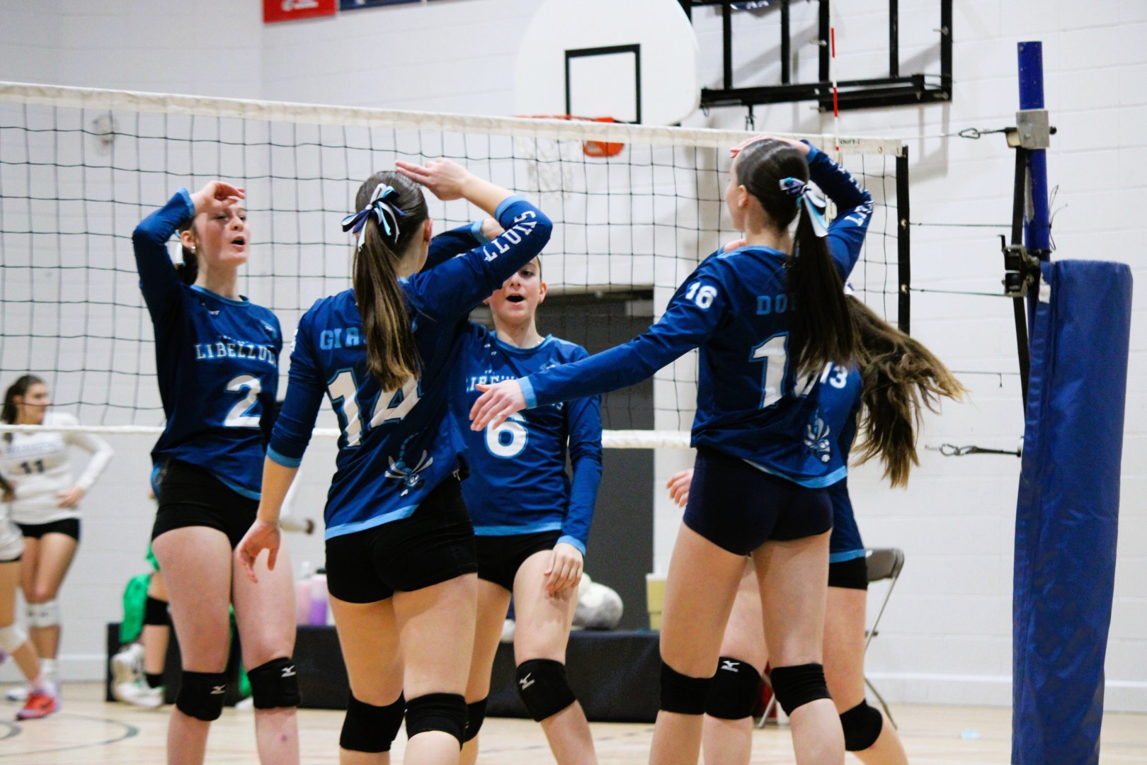 Volitives (hôte) Tournoi VBQ #3 U14 Circuit Excellence Repentigny - 21 février 2026